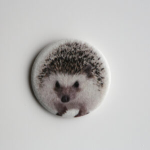 brooch, hedgehog